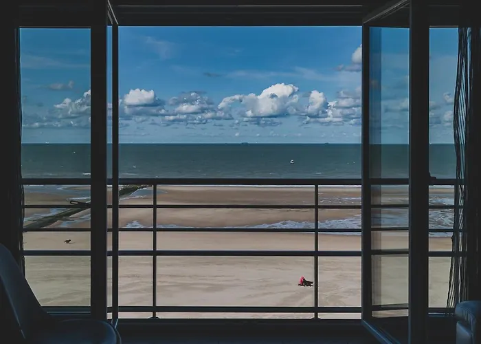 公寓 Knappe Met Subliem Zeezicht! 奥斯滕德